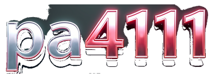 pa411 logo